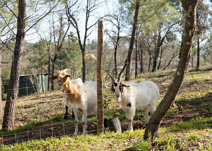 בקתה Refugio Do Carrascal